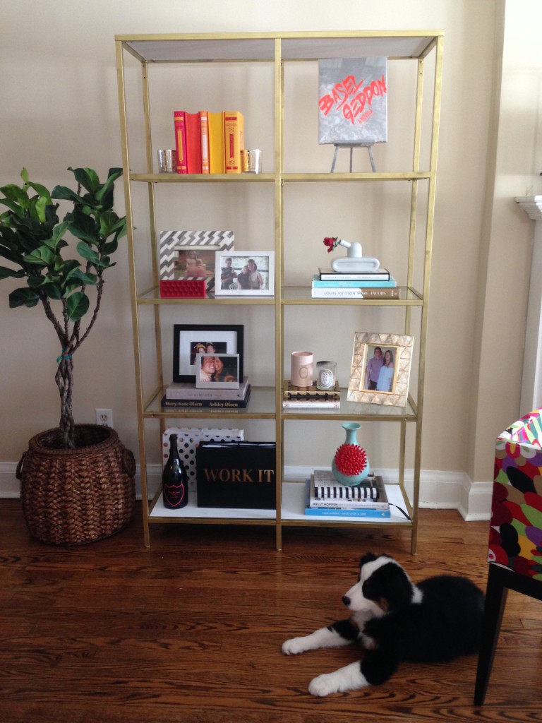 bookcase, ikeahack, gold spray paint
