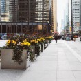 Bay Street gardens downtown