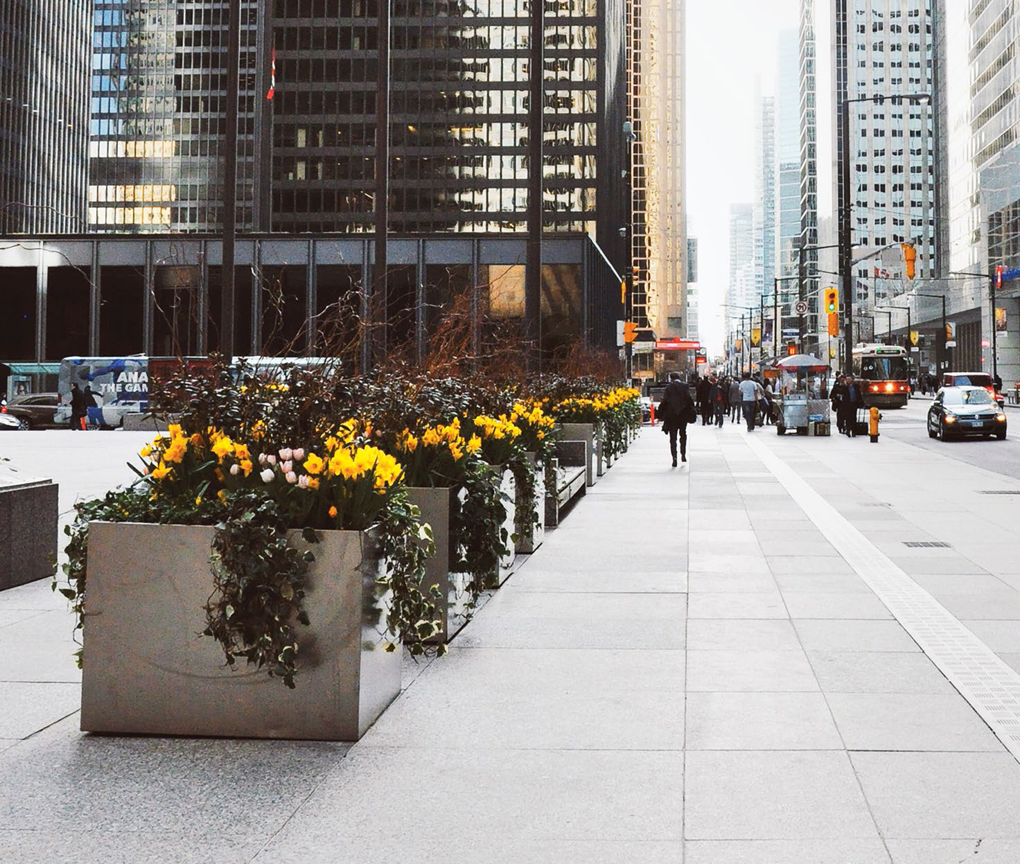 Bay Street gardens downtown
