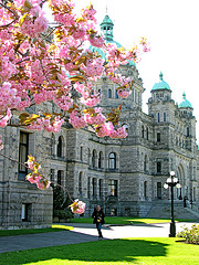 British Columbia legislature in Victoria - photo by Nicholas Kenrick