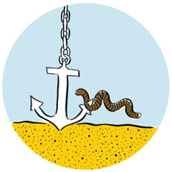 Worm and anchor