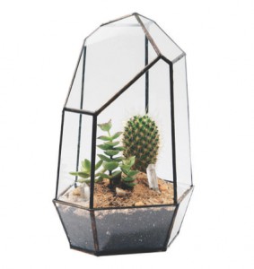 Terrariums by Score and Solder