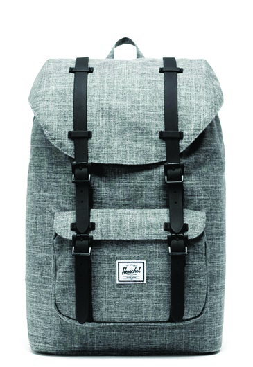 Three stylish backpacks that you can wear to work | Precedent