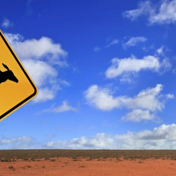 Kangaroo-Australia-Sign